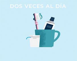 Cepillar y lavar los dientes dos veces al día